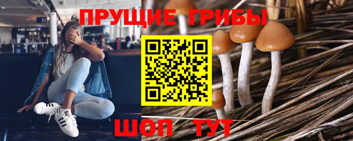 Галлюциногенные грибы Psilocybe  Псилоцибиновые грибы Psilocybe  Вход с VPN  Севастополь 